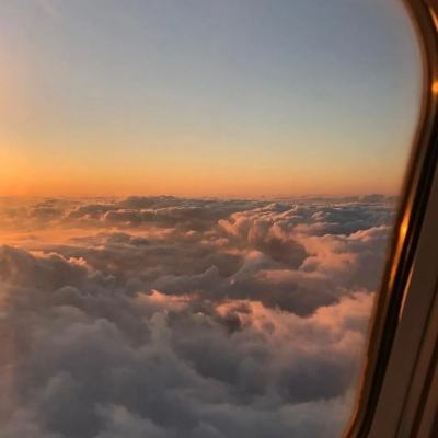 金会年彩票网止