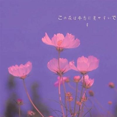 一分钟pk10赛车截图