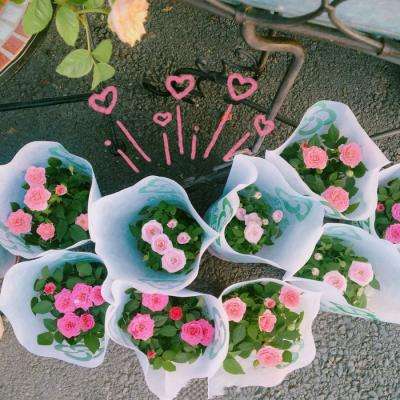 皇冠APP官方版下载安装